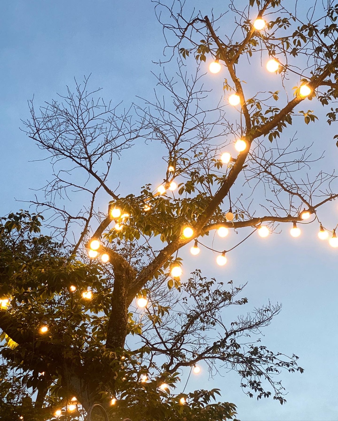 39aa197643770a4d56f57b6417b8f212_1756349552_1382.jpg 39aa197643770a4d56f57b6417b8f212_1756349552_1382.jpg